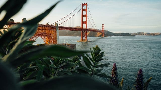 Exploring San Francisco's Top Restaurants for Group Dining and School Trips